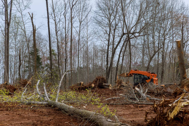 Mulching Services in Beverly, OH