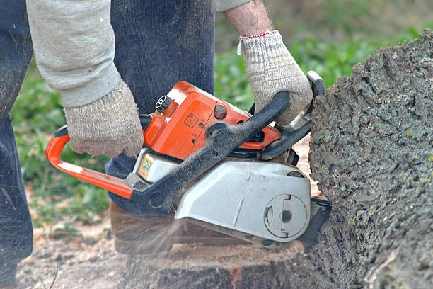 Leaf Removal in Beverly, OH